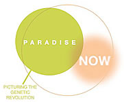 paradise now exhibit
